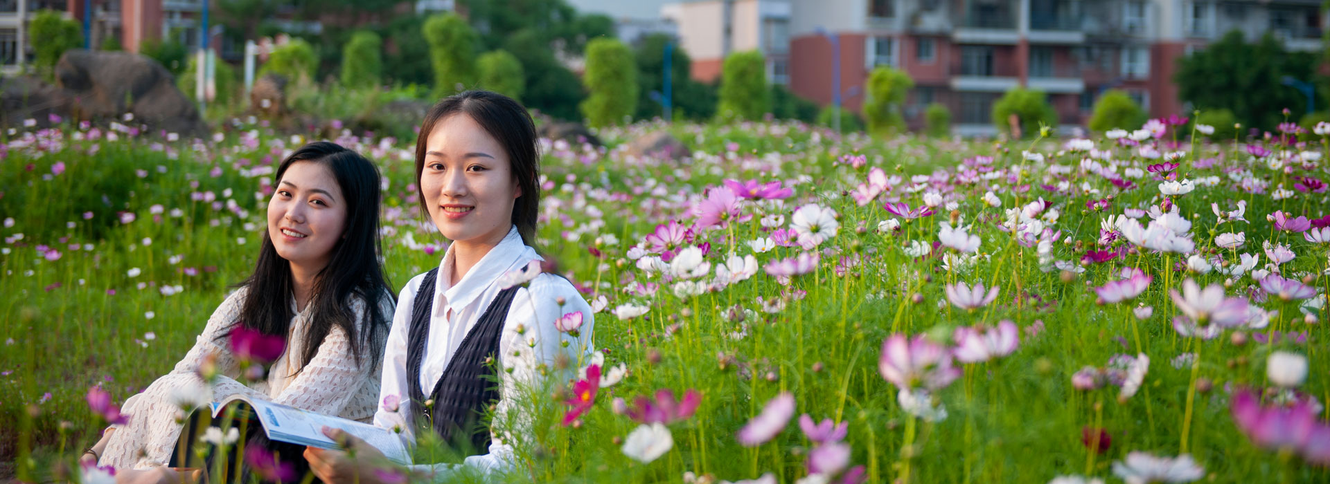 美丽的格桑花-四川文理学院欢迎您!